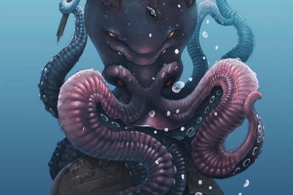 Kraken как найти ссылку