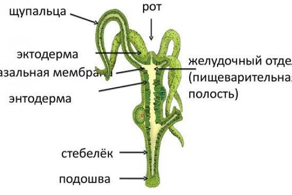 Ссылки зеркала на kraken