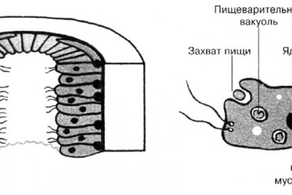 Кракен сайт 6