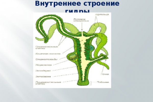 Kraken 13at сайт