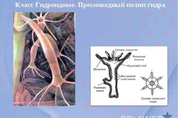 Кракен дарк оригинал ссылка