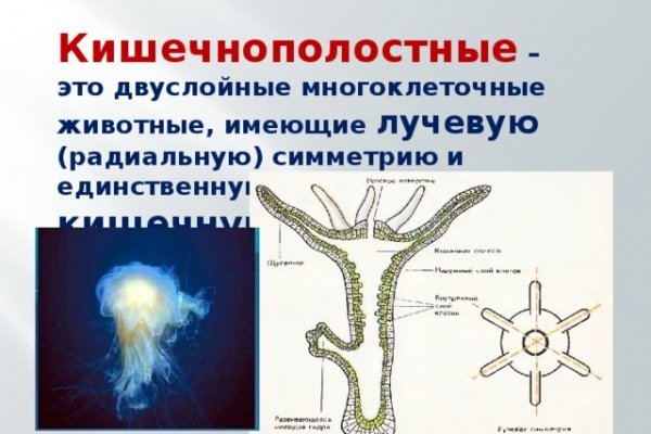 Кракен клирнет ссылка