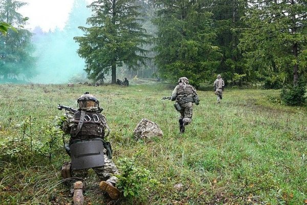 Рабочие ссылки и зеркала кракен